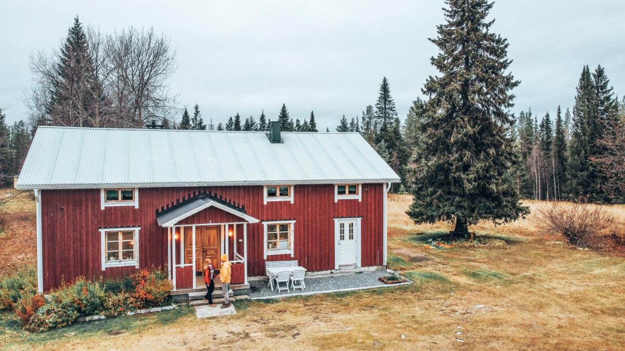 Taiga Forest Lodge Елливаре Экстерьер фото